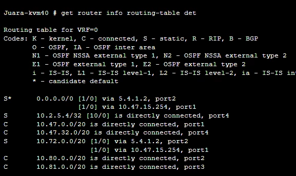 Technical Tip: SD-WAN is not in Active Routing Table | Community