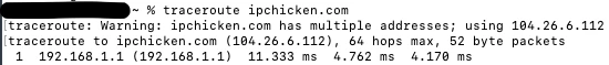 ping_ipchicken.png