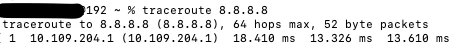 ping_8.8.8.8.png