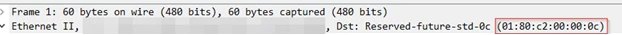 multicast_mac.png