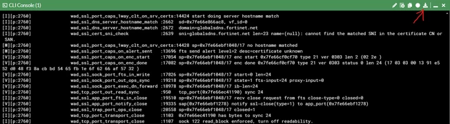 FortiGate debugs.png