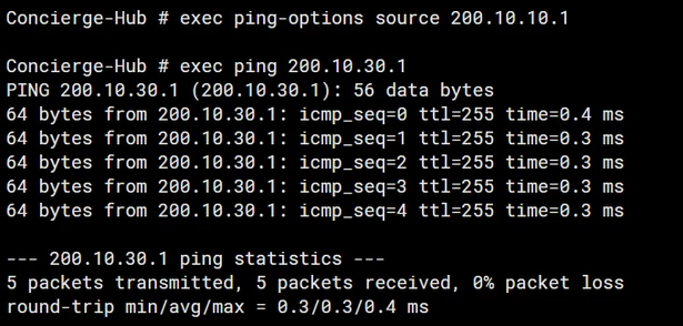 vrf10 ping.PNG