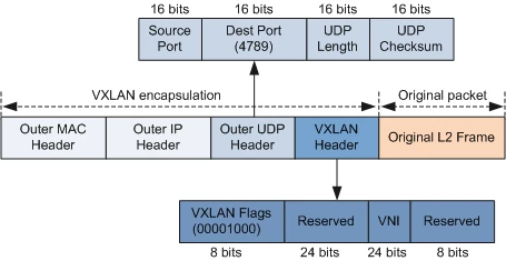 vxlanframe.png