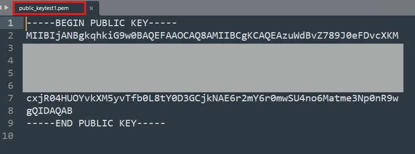 public key.jpg