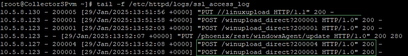 cat-ssl_access_log.png