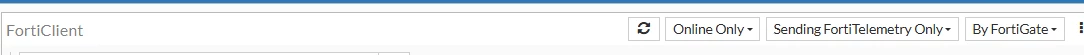 FortiClient filter.PNG