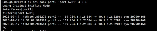 fail_sniffer.PNG