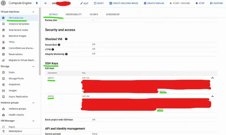 GCP detail.jpg GCP vm details