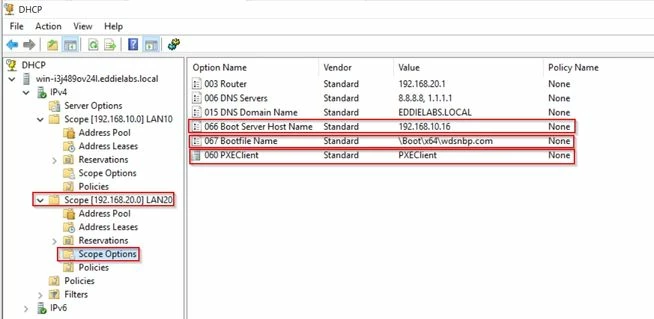 WS_DHCP_ServerOptions.jpg