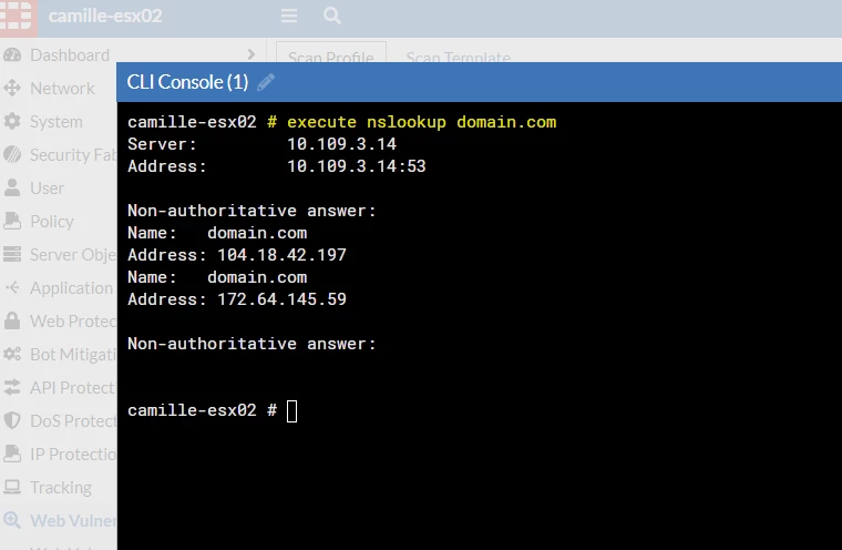 nslookup.png