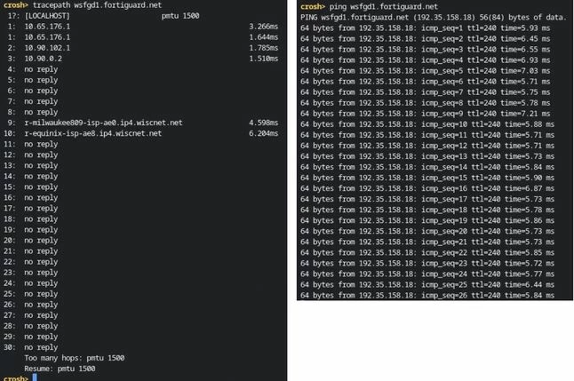 trace and ping wsfgd1.fortiguard.net .jpg