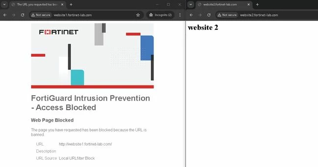 Website 2 from Argentina