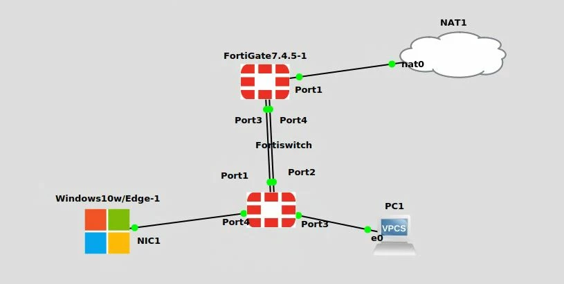 topology Fgt andFsw.JPG