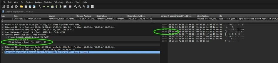 Screenshot packet detail.jpg
