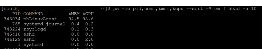 Linux_Agent_HighCPU.png Linux_Agent_HighCPU.png