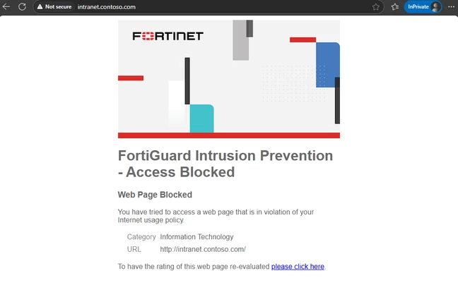 web_site.png