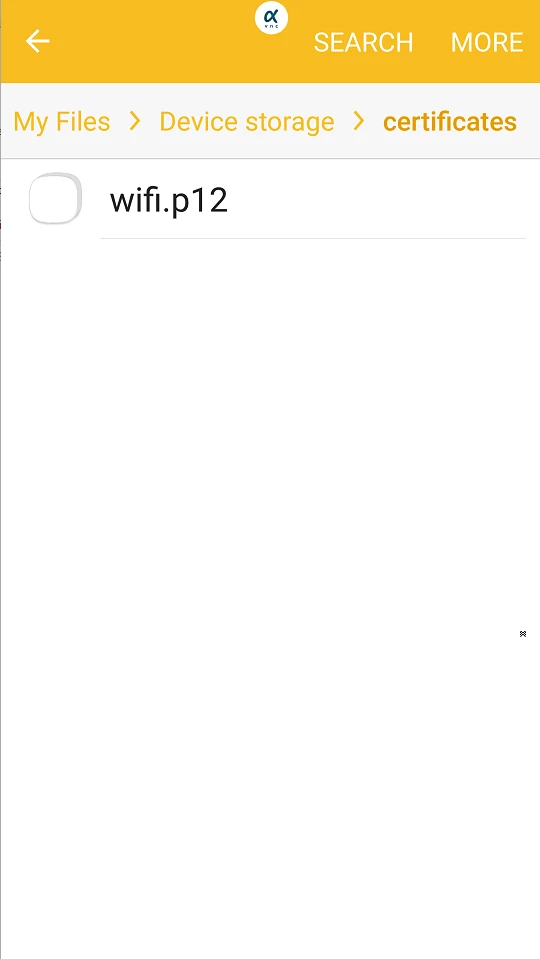 mdeparisse_FD40058_click to import in the local smartphone rep.png
