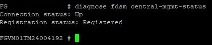 FMG13.JPG