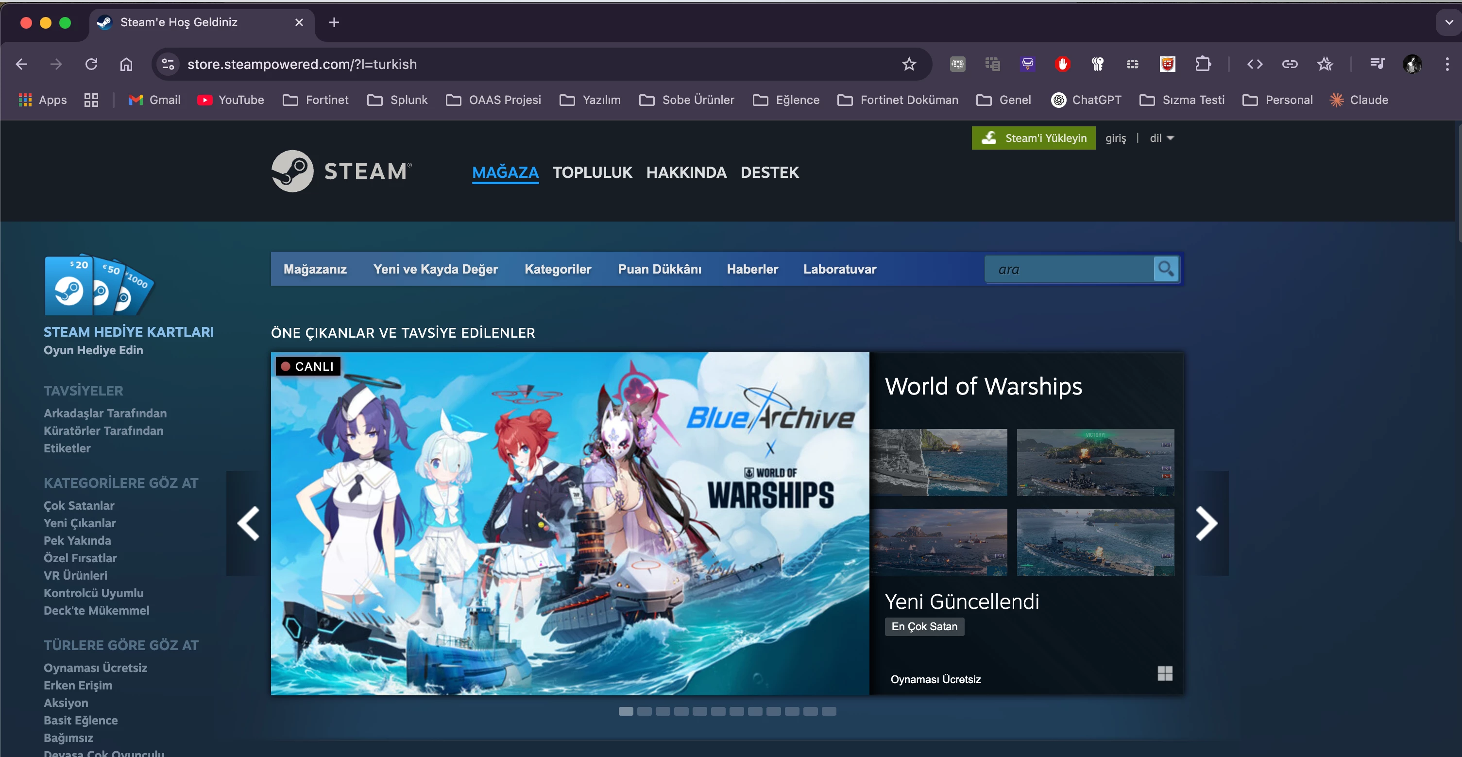 steam_access.png