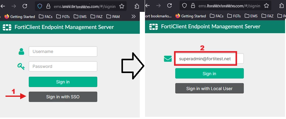16. EMS login SSO.png
