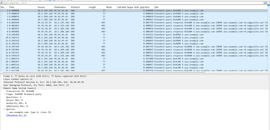 DNS_System.png