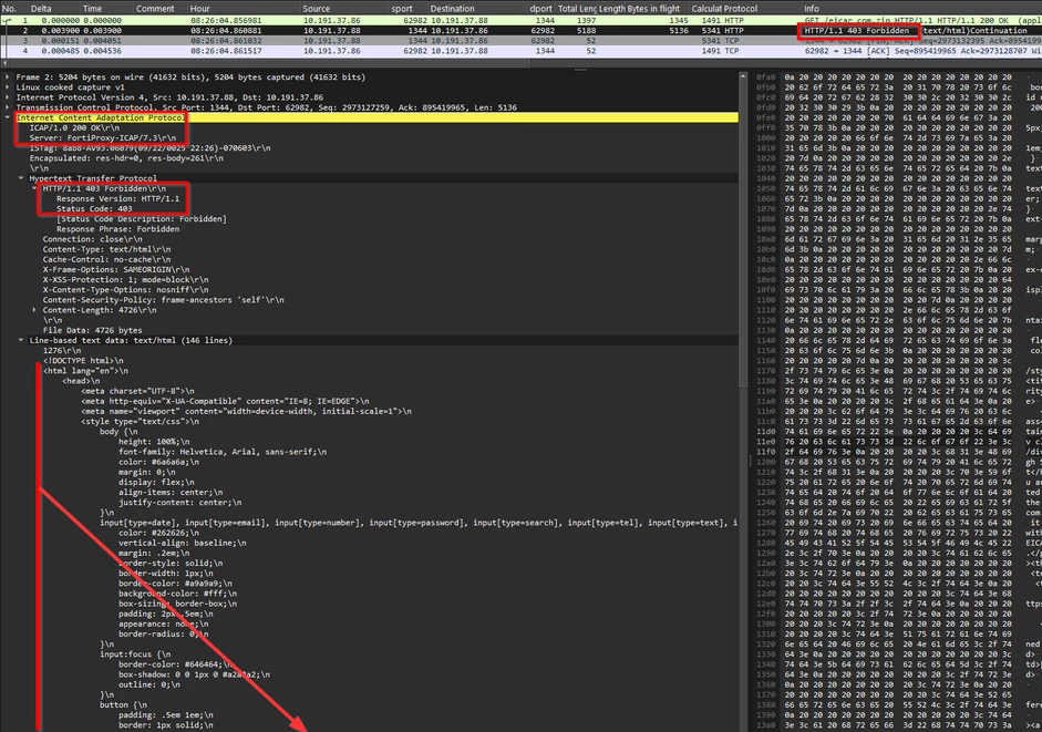 respmod_only_GET response.pcap.png