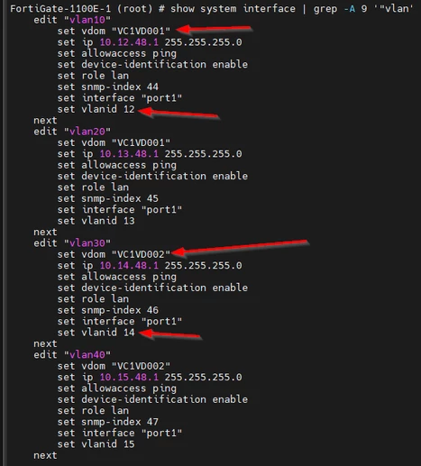 show system interface vlan