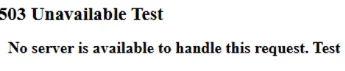 custom_503.png