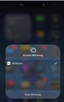 Screenmirror.jpg