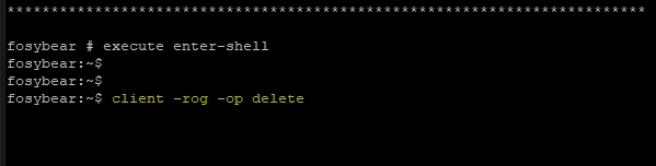 3. client -rog -op delete command.PNG