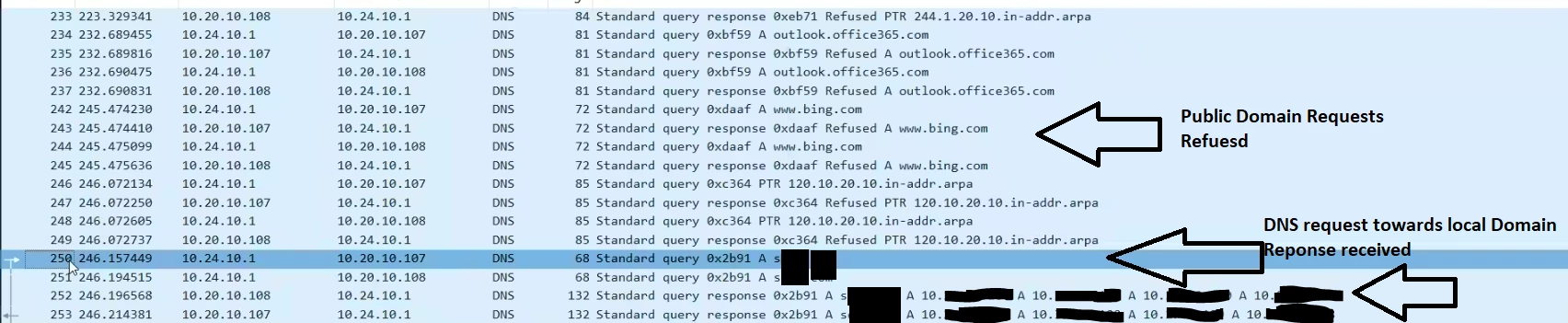 split dns working pcap.png