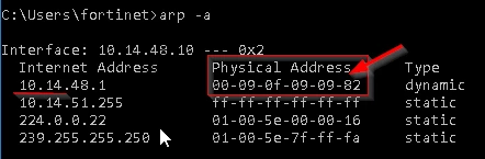 arp -a