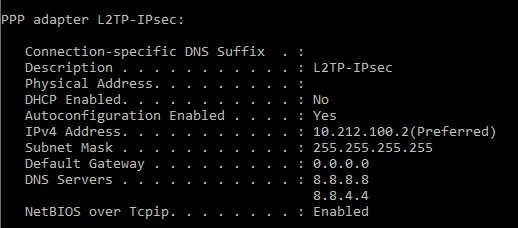L2TP-custom-DNS.jpg