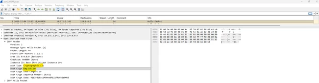 OSPF01.png