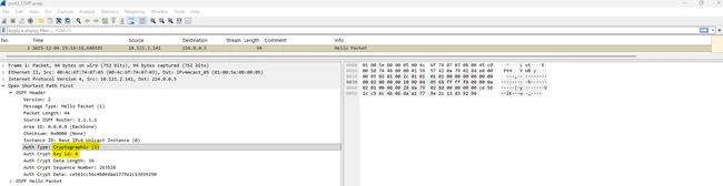 OSPF02.png