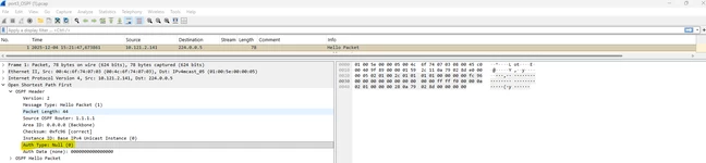 OSPF03.png