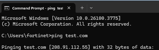 DNS query blocked is resolved with FortiGuard IP