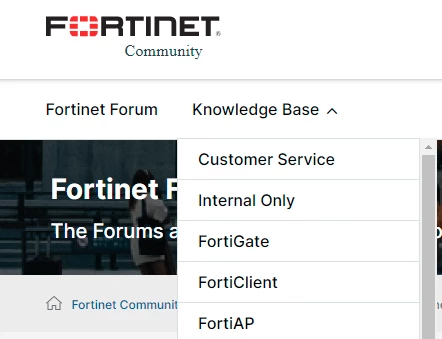 xsilver_FTNT_1-1658312994202.png
