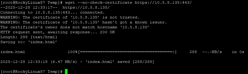 wget-test.png