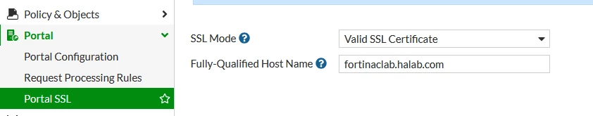 Google Portal -01.png