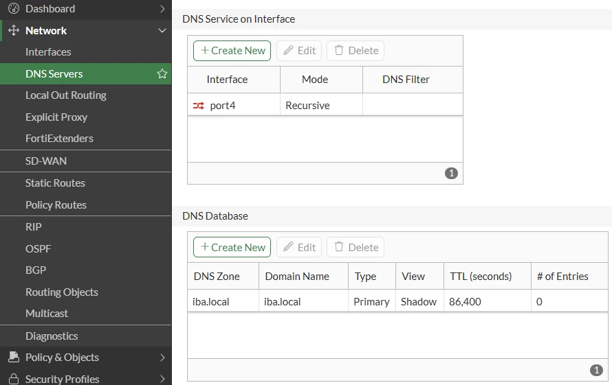 GUI Network - DNS Servers.png