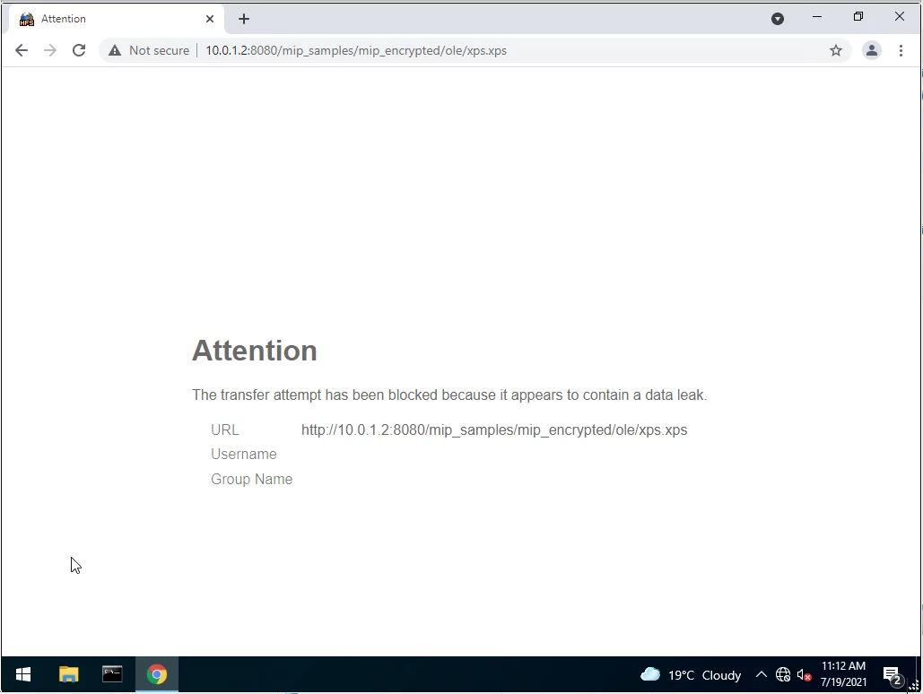 MIP_block_page.png