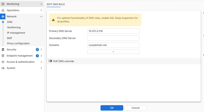 DNS Rule settings.png