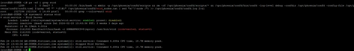 system status etcd