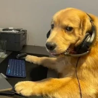 hddog