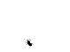 rob