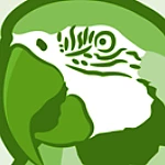 adriellousada