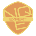 NQE Expert