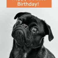 happybelatedbirthday