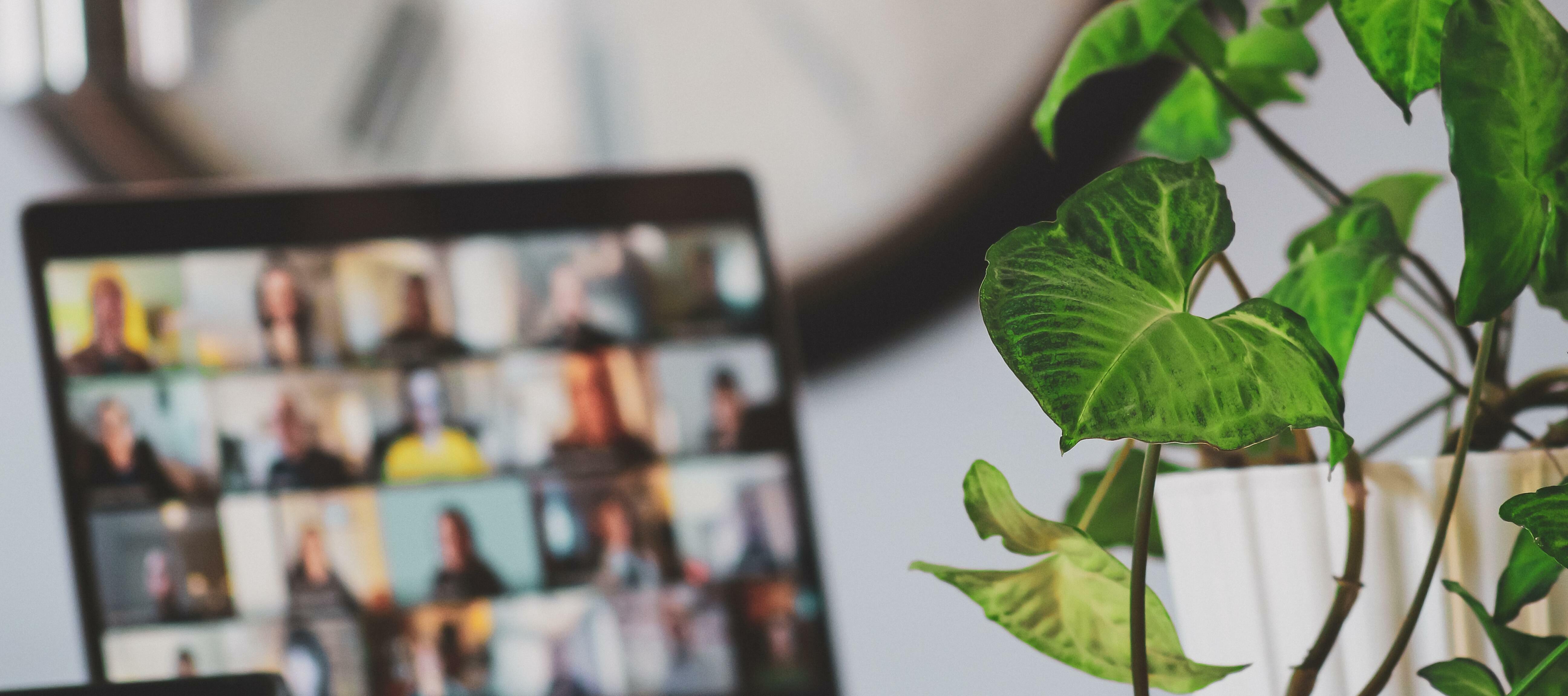 Virtual Customer Advisory Meeting - Discovery for Spaces